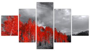 Obraz - Drzewa w kolorze jesieni (125x70 cm)