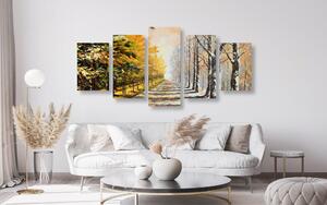 5-częściowy obraz jesienna aleja drzew