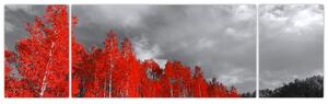 Obraz - Drzewa w kolorze jesieni (170x50 cm)
