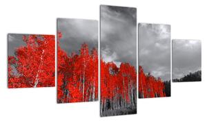 Obraz - Drzewa w kolorze jesieni (125x70 cm)