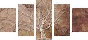 5 częściowy obraz korona drzewa