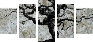 5 częściowy obraz abstrakcyjne drzewo na drewnie