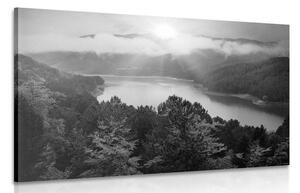 Obraz rzeka w środku lasu w wersji czarno-białej