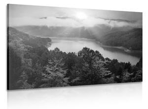 Obraz rzeka w środku lasu w wersji czarno-białej