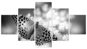 Obraz - Szczegół motyla zapylającego kwiat (125x70 cm)