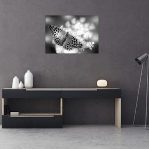 Obraz - Szczegół motyla zapylającego kwiat (70x50 cm)