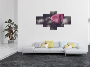 Obraz - Detal kwiatu róży (125x70 cm)