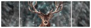 Obraz - Majestatyczność jelenia (170x50 cm)