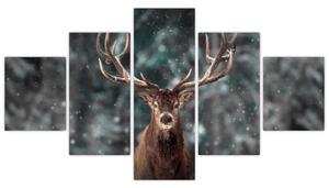 Obraz - Majestatyczność jelenia (125x70 cm)