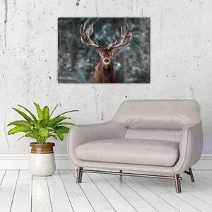 Obraz - Majestatyczność jelenia (70x50 cm)