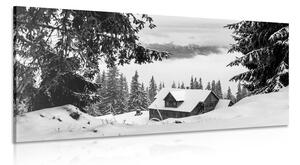 Obraz drewniany dom przy ośnieżonych sosnach w wersji czarno-białej