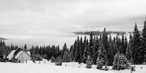 Obraz drewniany domek w śnieżnej przyrodzie w wersji czarno-białej