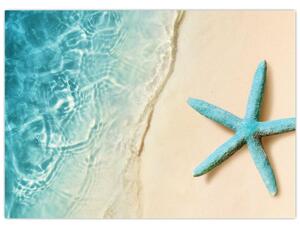 Obraz - Rozgwiazda na plaży (70x50 cm)