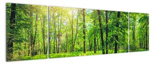 Obraz - Wiosenny las liściasty (170x50 cm)