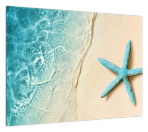 Obraz - Rozgwiazda na plaży (70x50 cm)