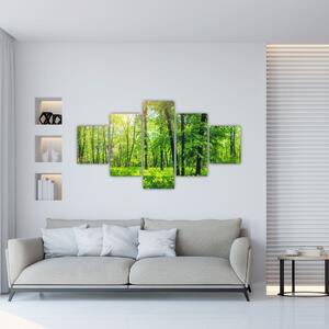Obraz - Wiosenny las liściasty (125x70 cm)