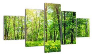 Obraz - Wiosenny las liściasty (125x70 cm)