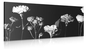 Obraz eleganckie czarno-białe kwiaty