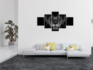Obraz - lew i jego majestatyczność (125x70 cm)
