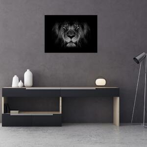 Obraz - lew i jego majestatyczność (70x50 cm)