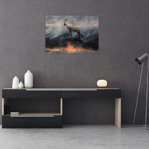 Obraz kozicy w płomieniach (70x50 cm)
