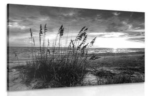 Obraz zachód słońca na plaży w wersji czarno-białej