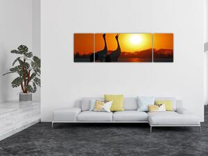 Obraz ptaków o zachodzie słońca (170x50 cm)