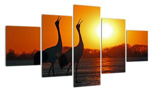 Obraz ptaków o zachodzie słońca (125x70 cm)