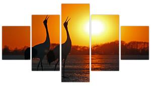 Obraz ptaków o zachodzie słońca (125x70 cm)