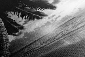 Obraz wschód słońca na karaibskiej plaży w wersji czarno-białej