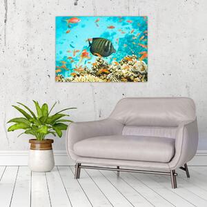 Obraz podwodnego świata (70x50 cm)