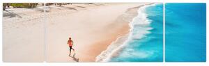 Obraz - Bieg na plaży (170x50 cm)