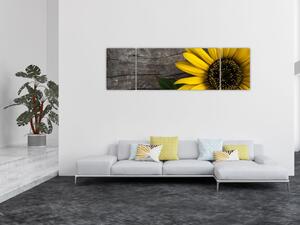 Obraz - Kwiat słonecznika (170x50 cm)