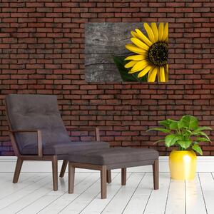Obraz - Kwiat słonecznika (70x50 cm)