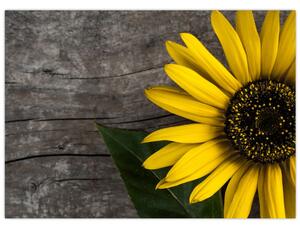 Obraz - Kwiat słonecznika (70x50 cm)