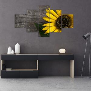 Obraz - Kwiat słonecznika (125x70 cm)