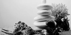 Obraz kamienie Zen z muszlami w wersji czarno-białej