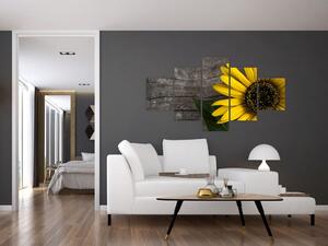 Obraz - Kwiat słonecznika (125x70 cm)