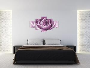 Obraz szczegółu kwiatu róży (125x70 cm)