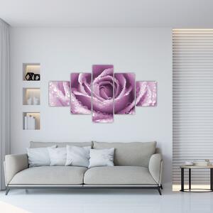 Obraz szczegółu kwiatu róży (125x70 cm)
