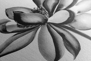 Obraz akwarela kwiat lotosu w wersji czarno-białej