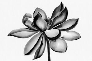 Obraz akwarela kwiat lotosu w wersji czarno-białej