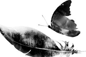 Obraz piórko z motylem w wersji czarno-białej