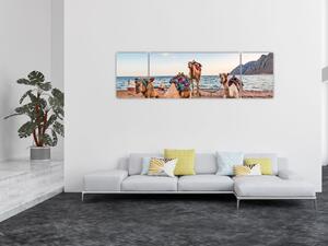 Obraz wielbłądów (170x50 cm)