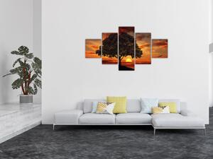 Obraz drzewa o zachodzie słońca (125x70 cm)