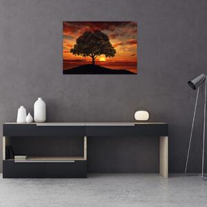 Obraz drzewa o zachodzie słońca (70x50 cm)