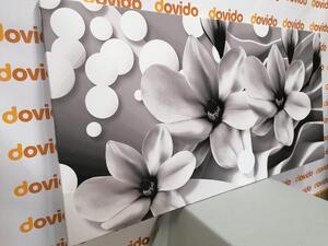 Obraz czarno-biała magnolia na abstrakcyjnym tle