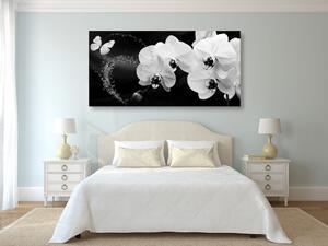 Obraz czarno-biały storczyk i motyl