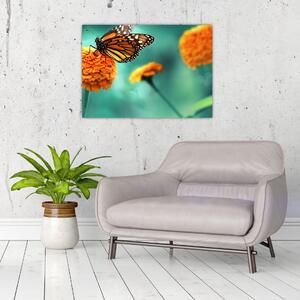 Obraz motyla (70x50 cm)