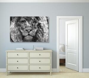 Obraz twarz lwa w wersji czarno-białej